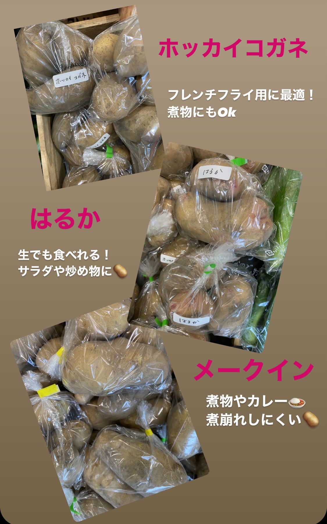 村上農園さんじゃがいも🥔