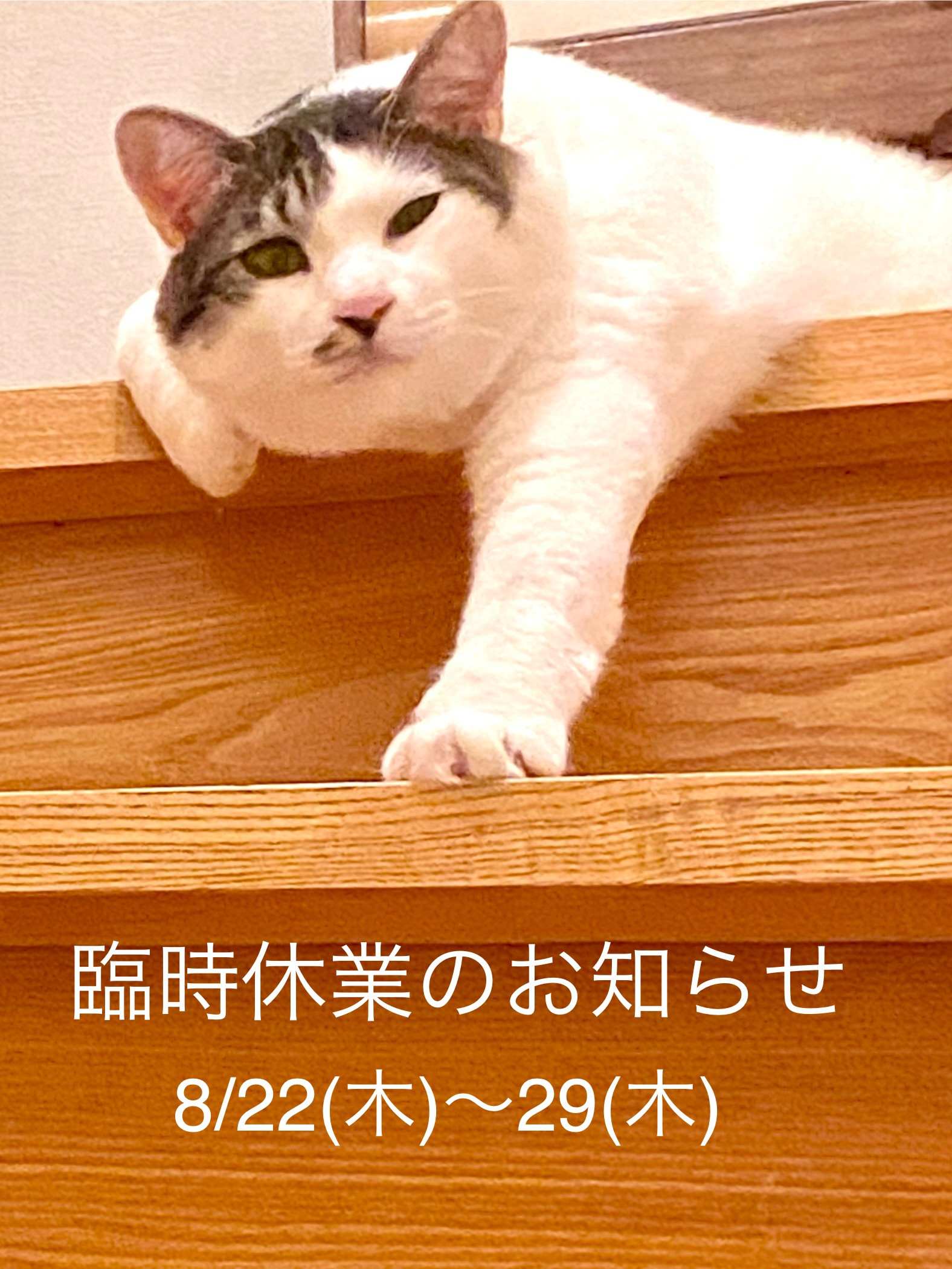 8月の臨時休業