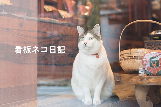 看板ネコ日記