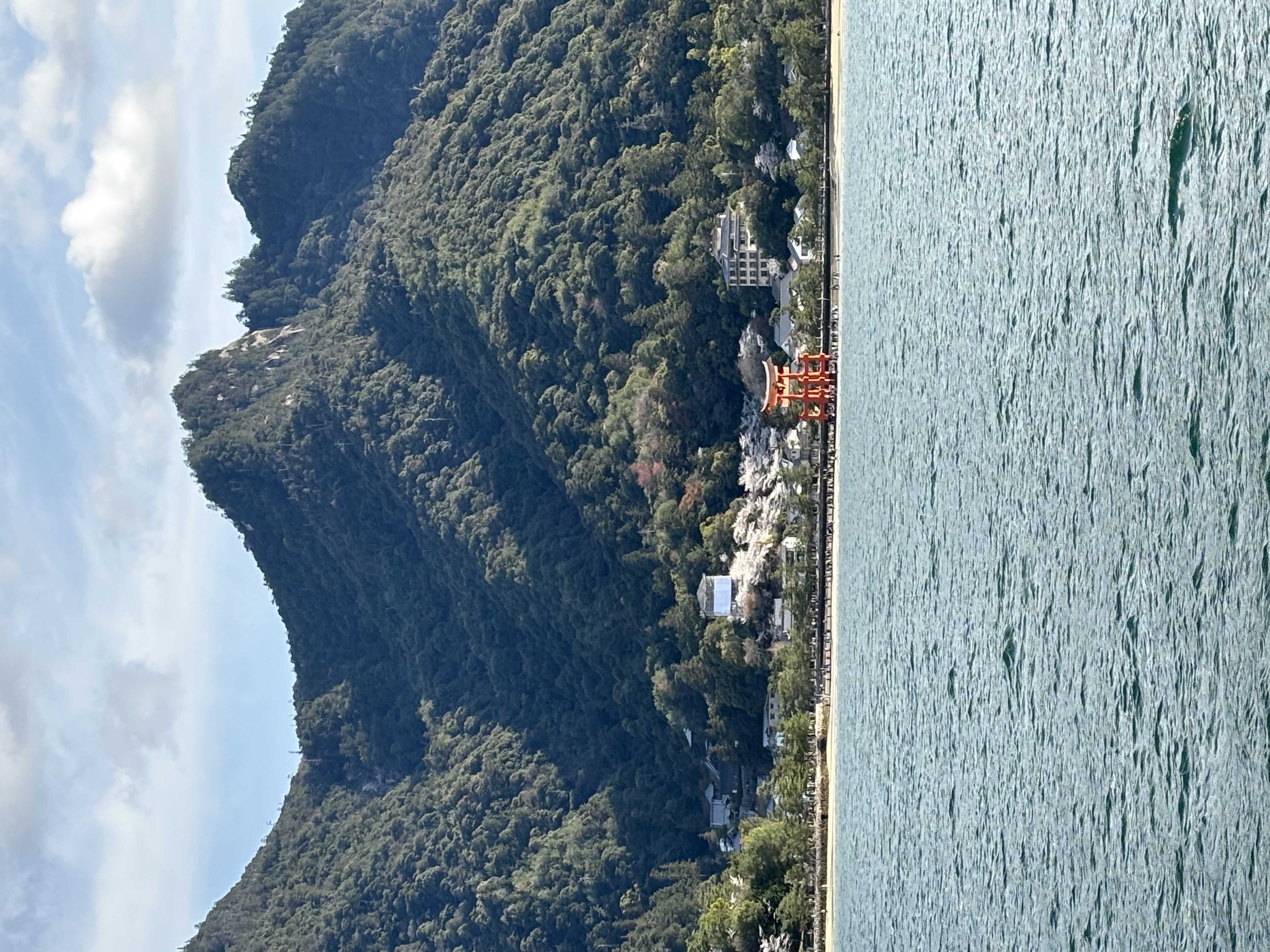 宮島は桜満開