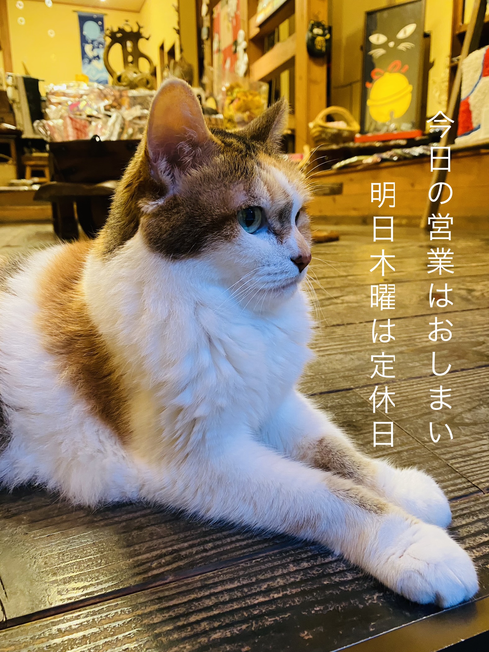 9月29日営業終わって思うこと