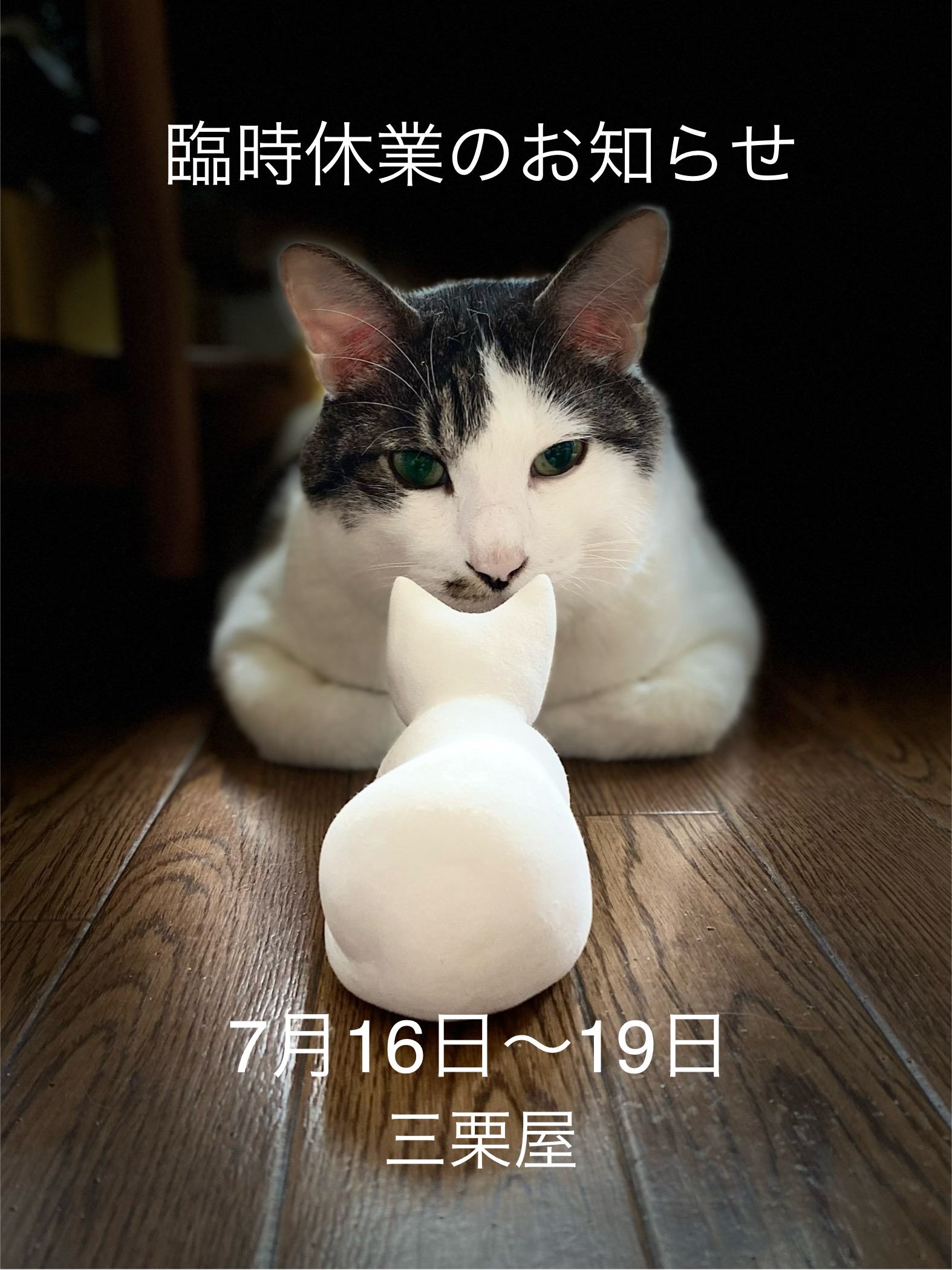 臨時休業のお知らせ