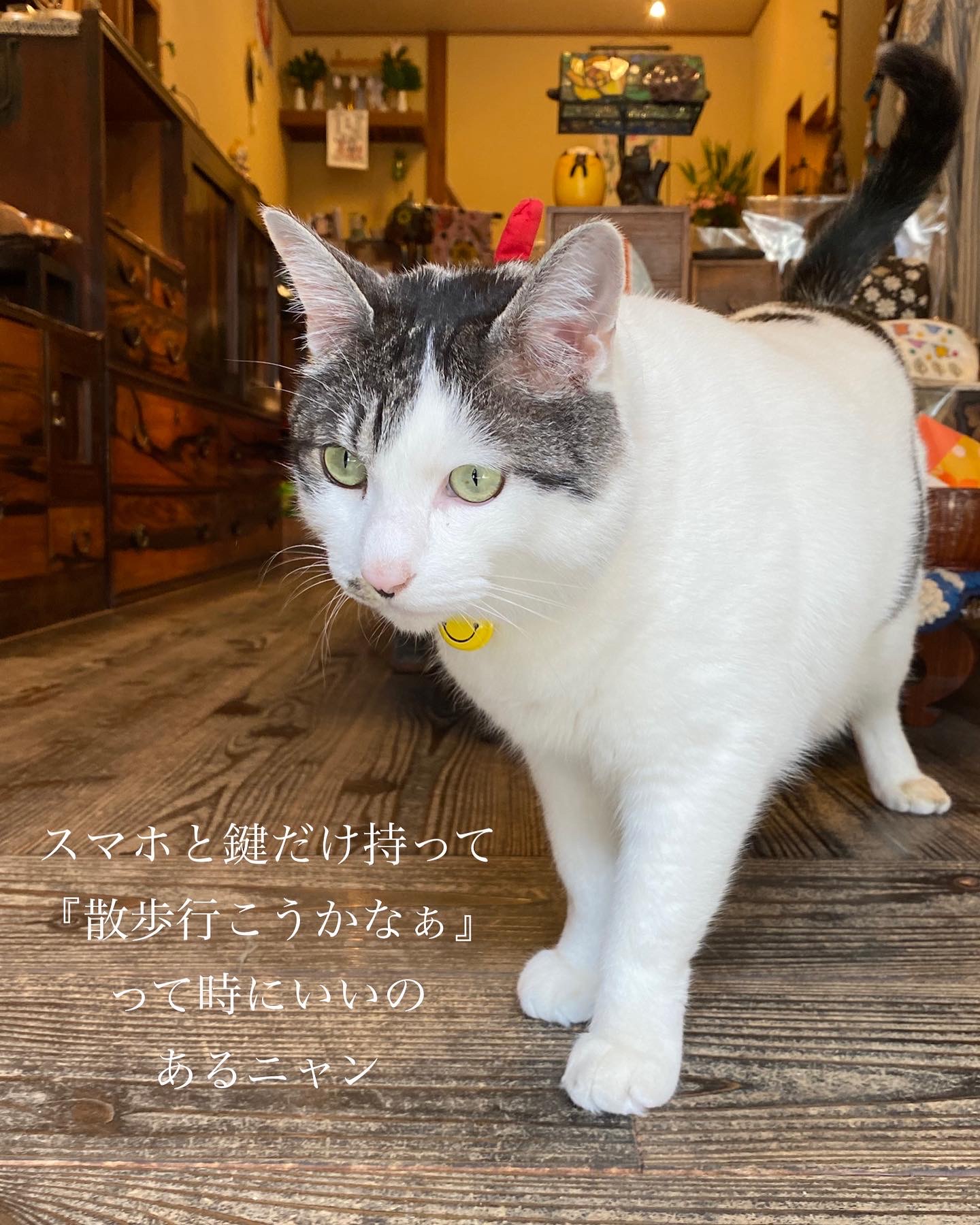 お出かけ商品のご紹介