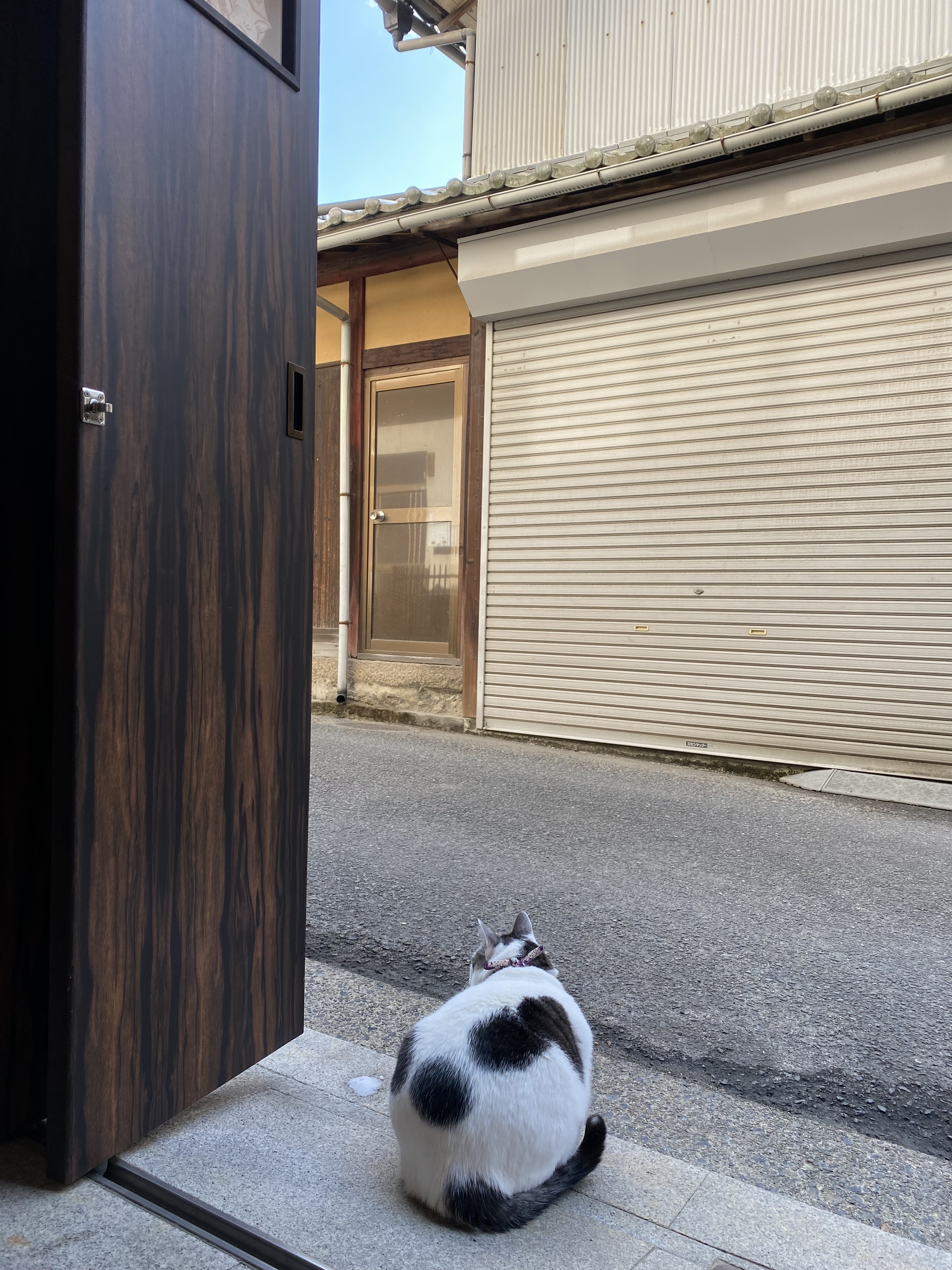 今年最後の営業日
