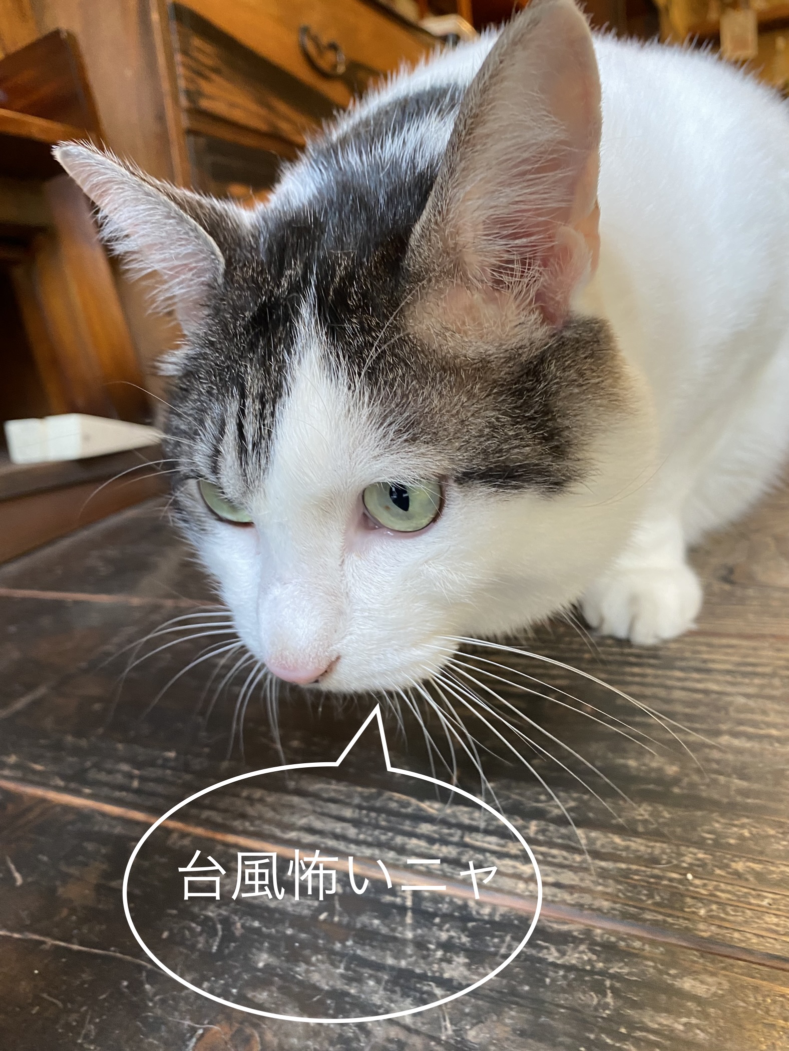 台風の影響