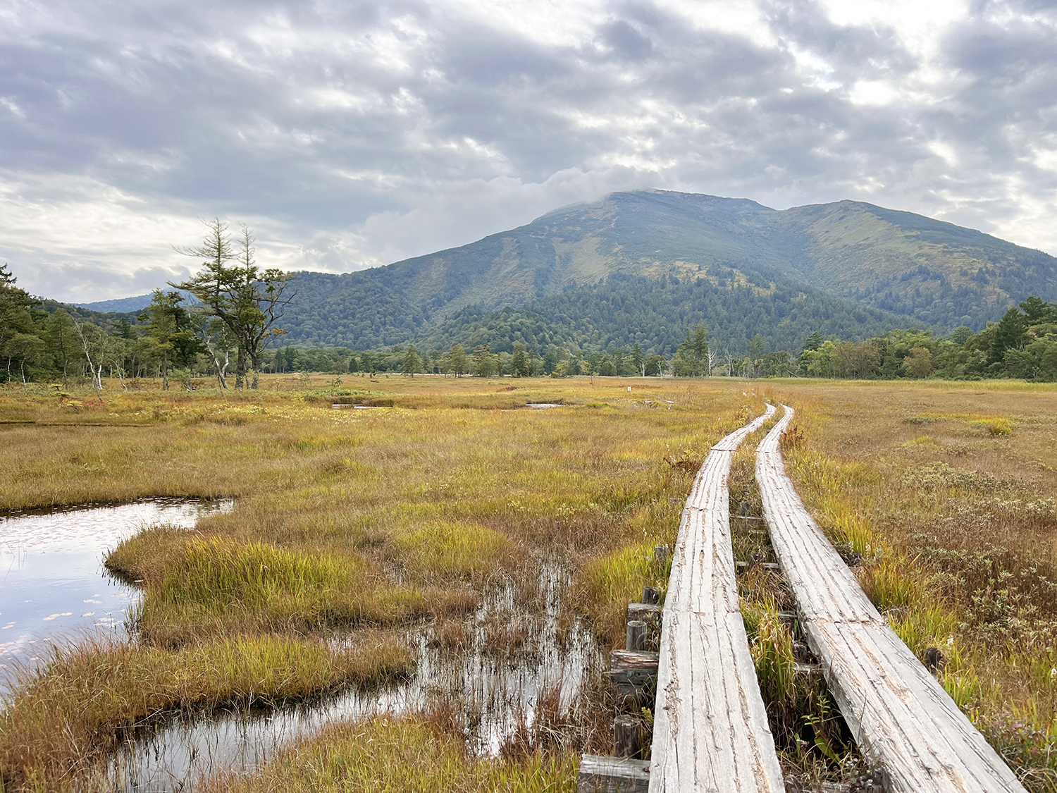 遅い夏休み。尾瀬へ