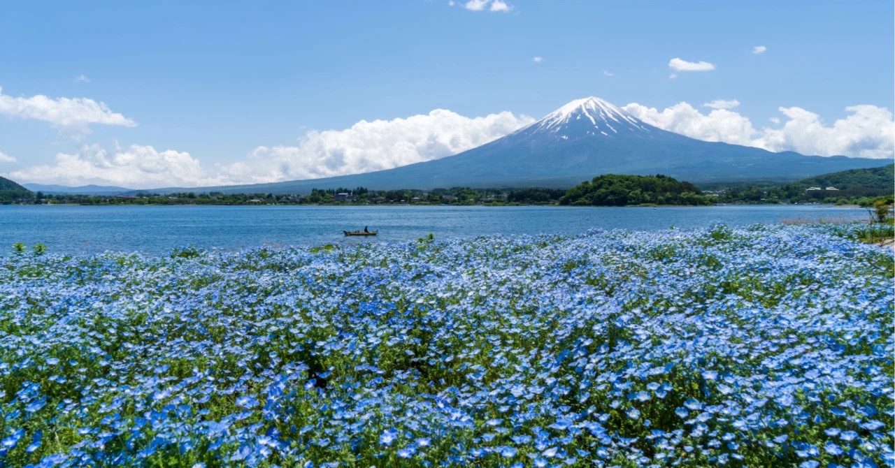 【5月の暦】行事が目白押し！新緑をたっぷり浴びたい季節