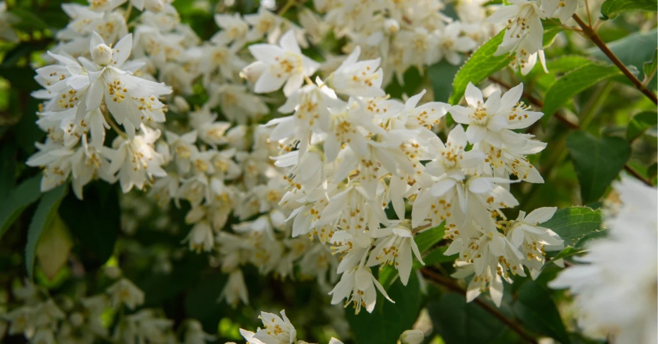 【4月の暦】桜咲く！暖かな春になりますように…