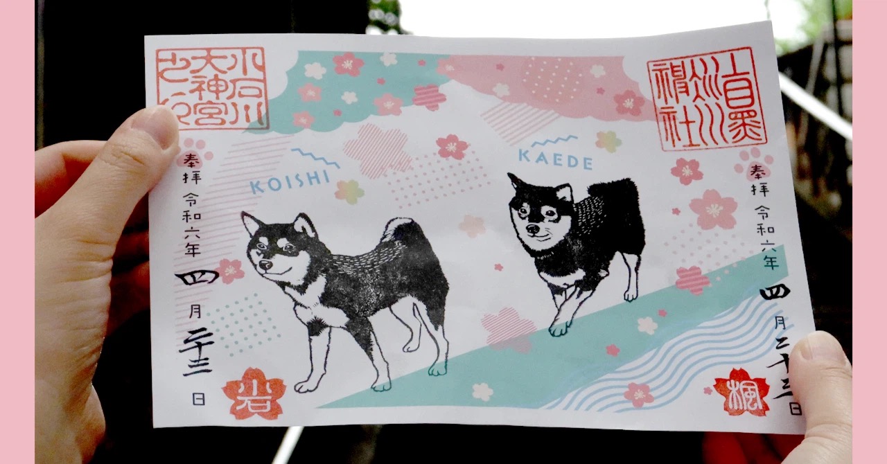 【御朱印まとめ】私たちがいただいた御朱印〜春〜