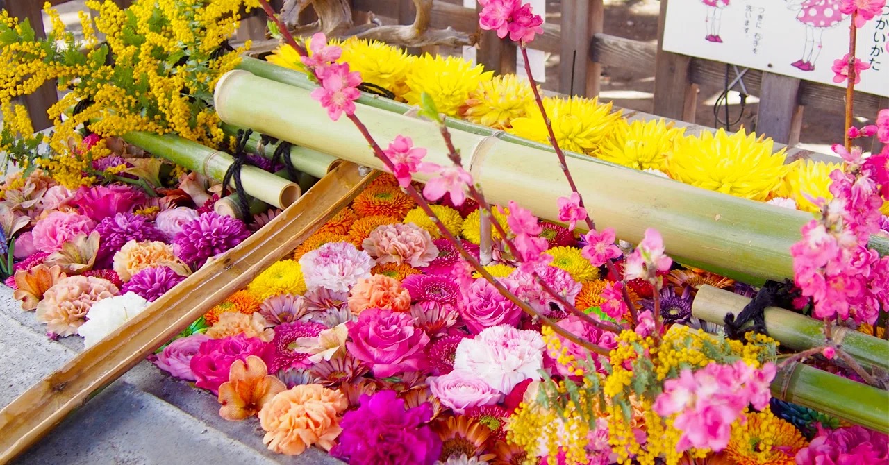 【4月の暦】新たな気持ちで迎えたい、始まりの季節！