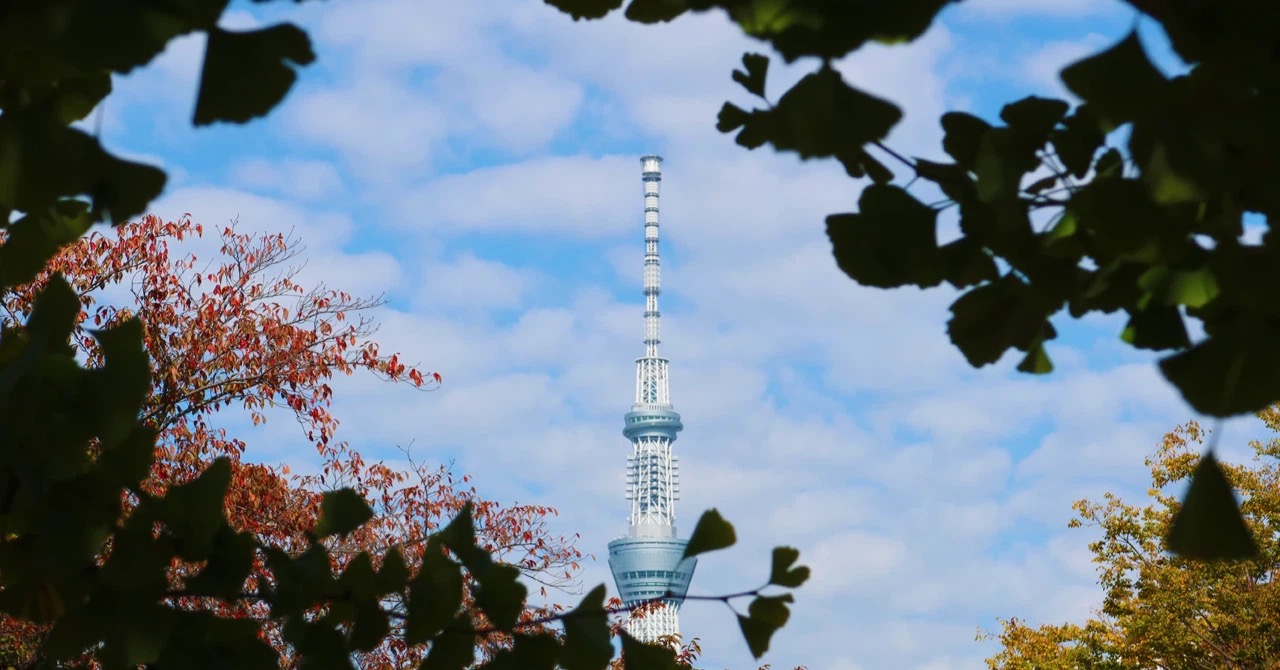 【9月の暦】行楽シーズン！連休の多い秋の始まり。