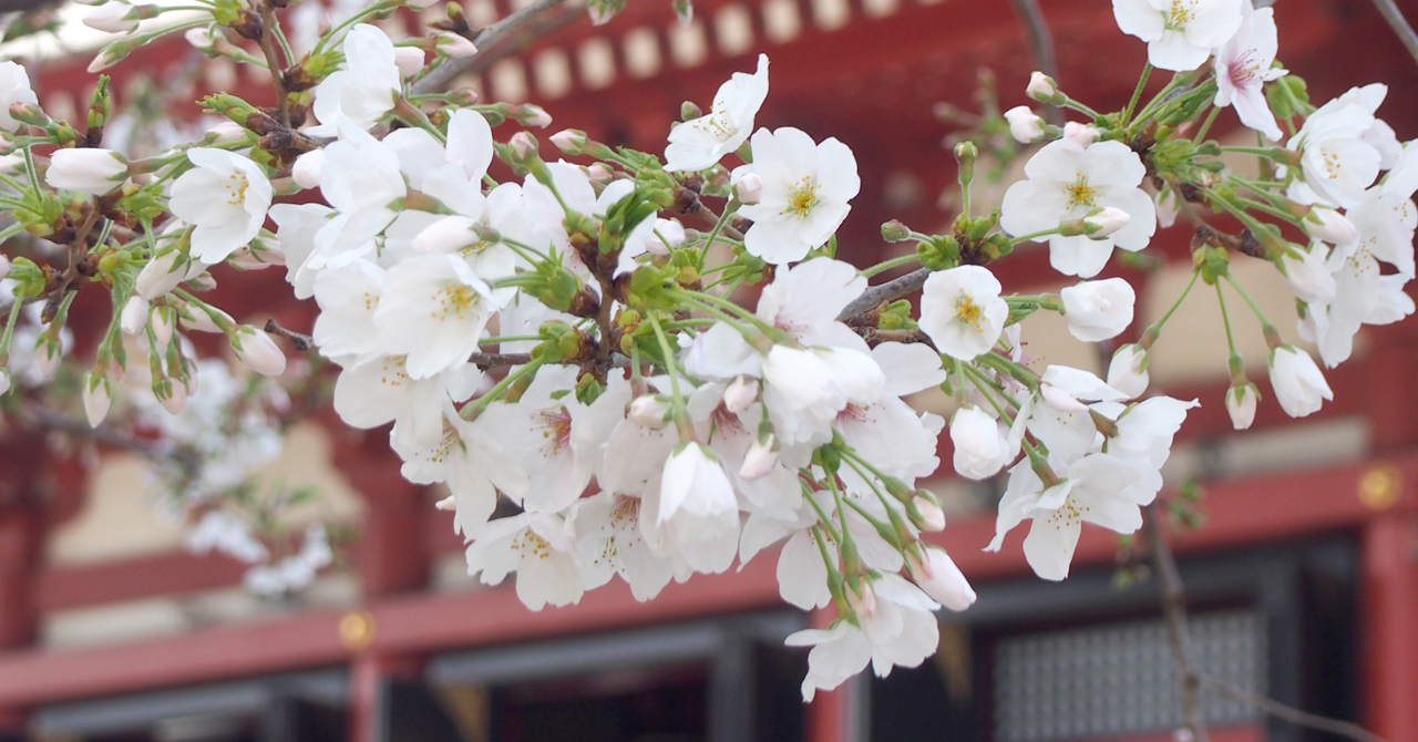 【4月の暦】希望に満ち溢れる春の訪れ！気持ちを新たにスタート