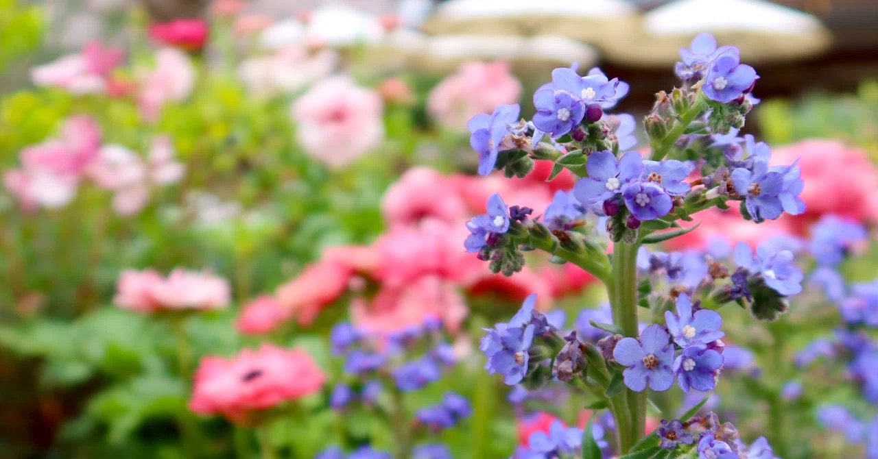 【3月の暦】ラッキーデー★四重吉日あり！春らんまんの季節