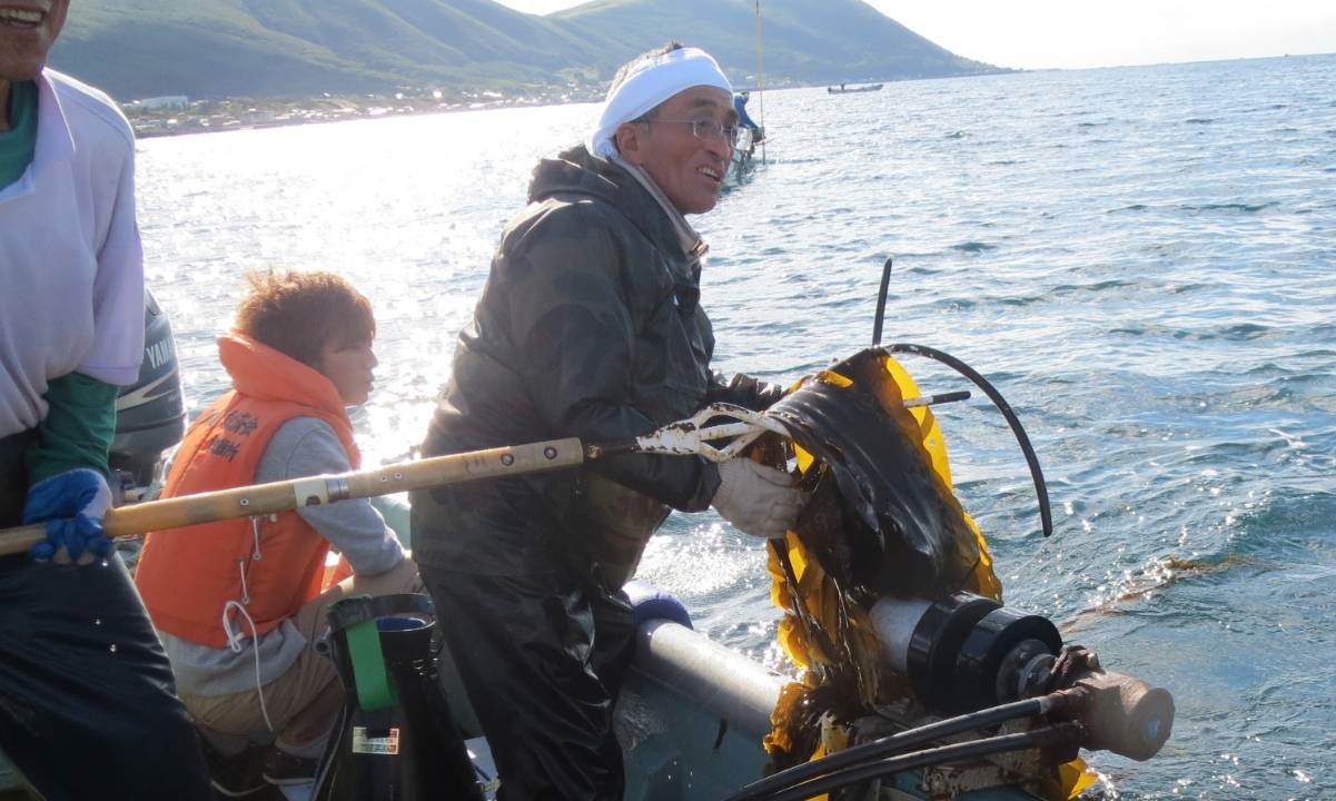 アンチエイジングの神食材「昆布」に迫る！