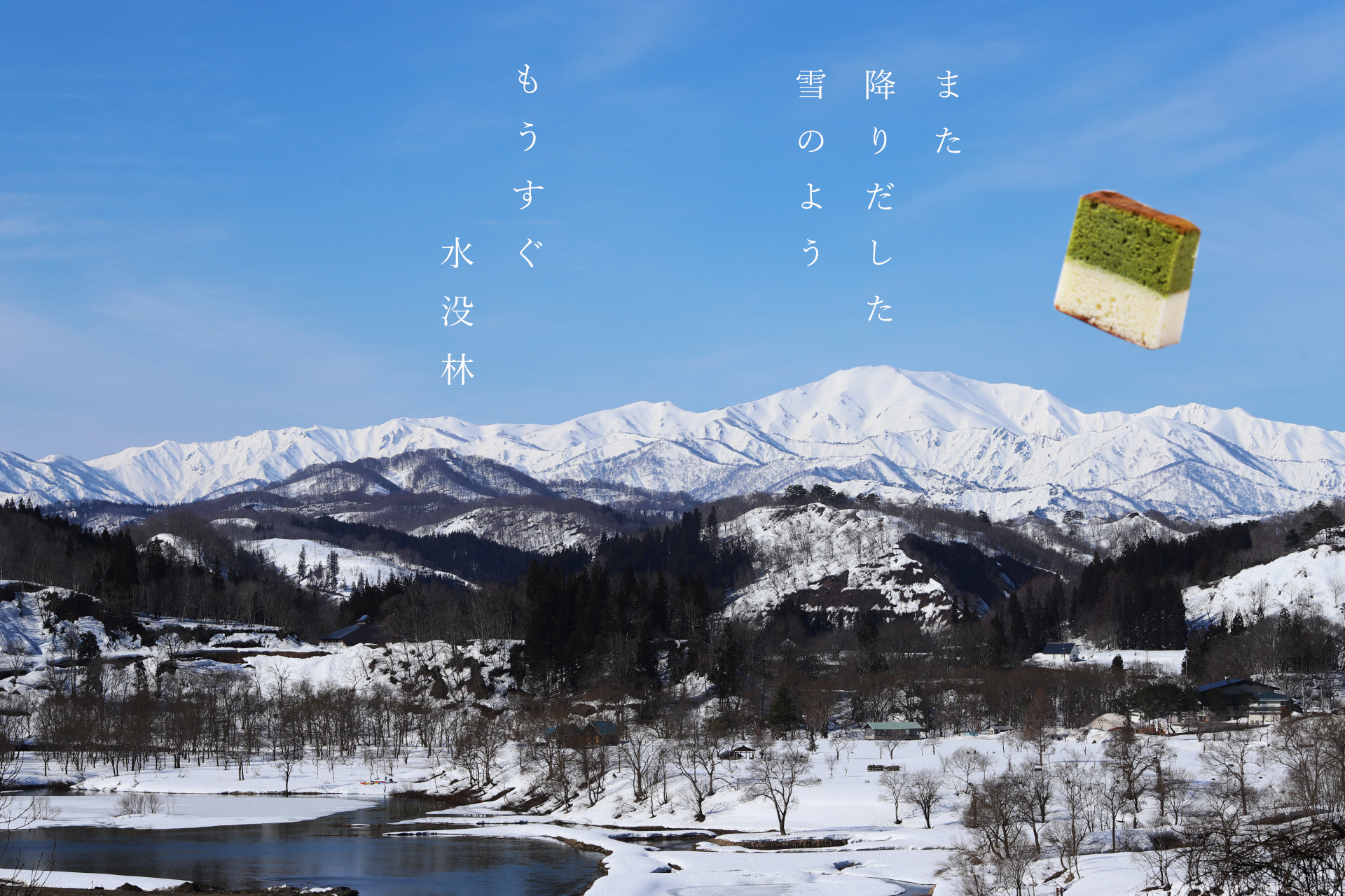 【新商品】水面に映る、春の芽吹き。白川ダムの「水没林」をモチーフにした新作がまもなく登場します