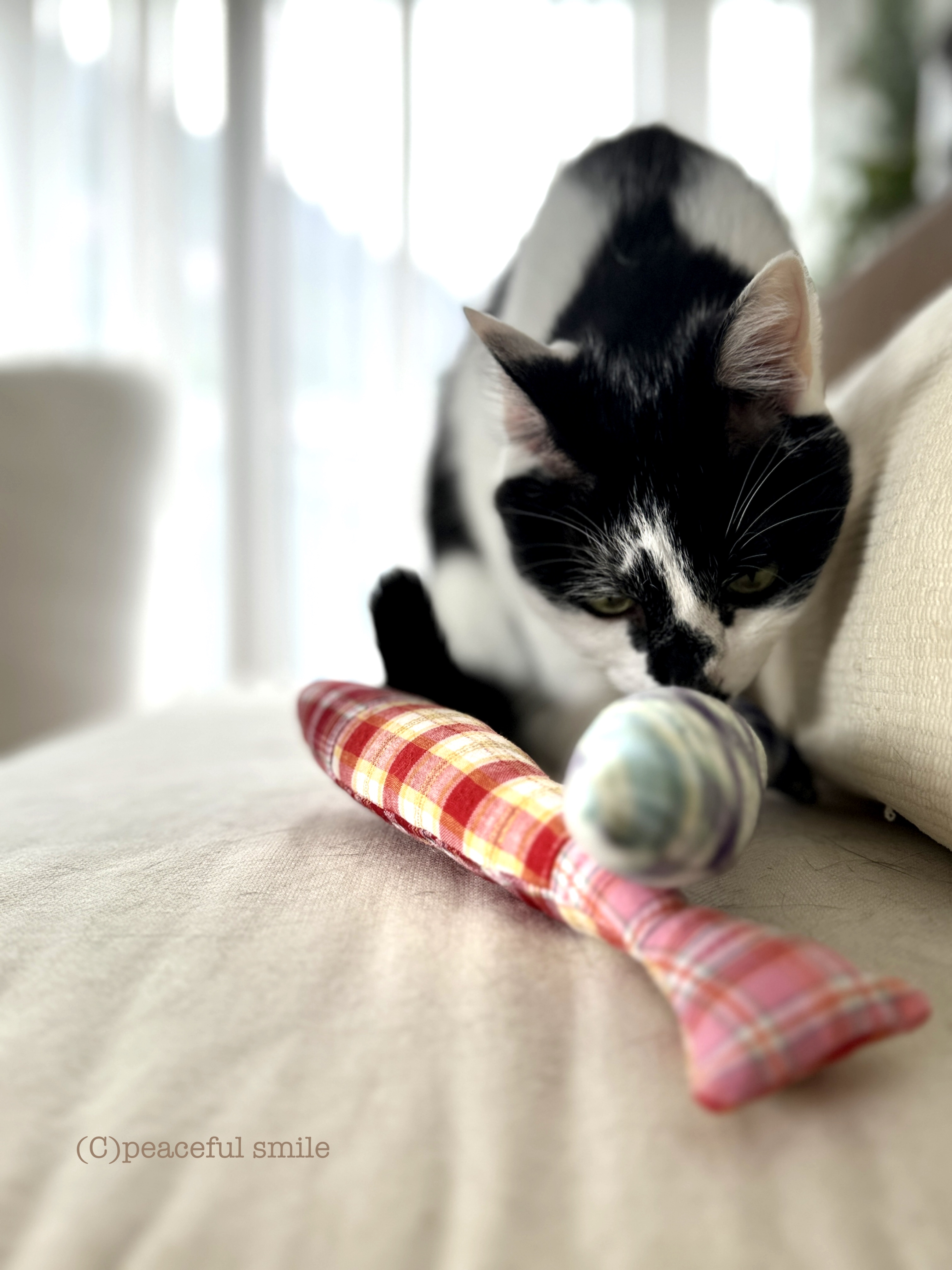 シンプルな猫のおもちゃ
