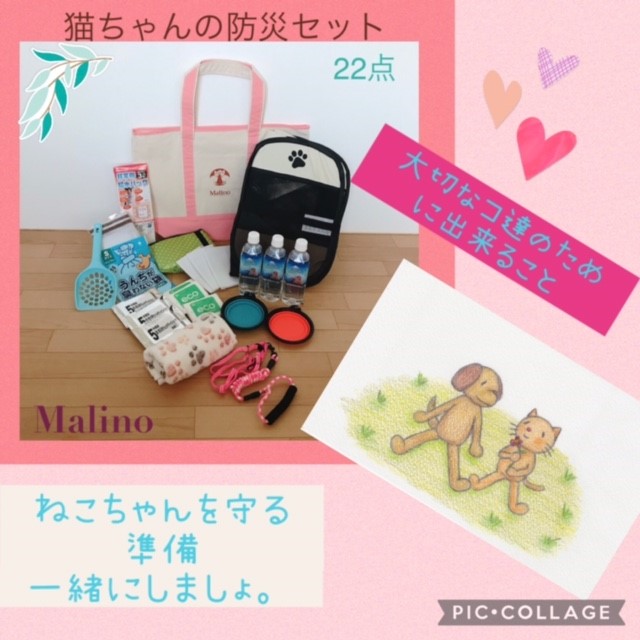 より多くのペットと一緒に暮らしている方へ届けたい【ペットの防災用品】