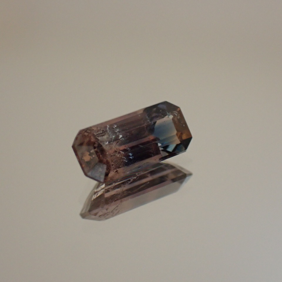 お年玉プレキャン開催中✨