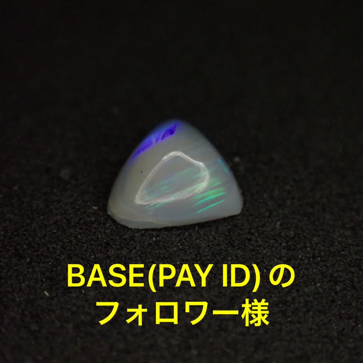 50円商品のお知らせ✨