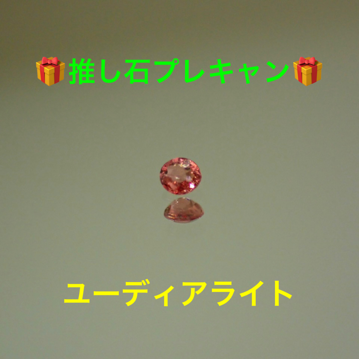 プレキャンのお知らせ✨