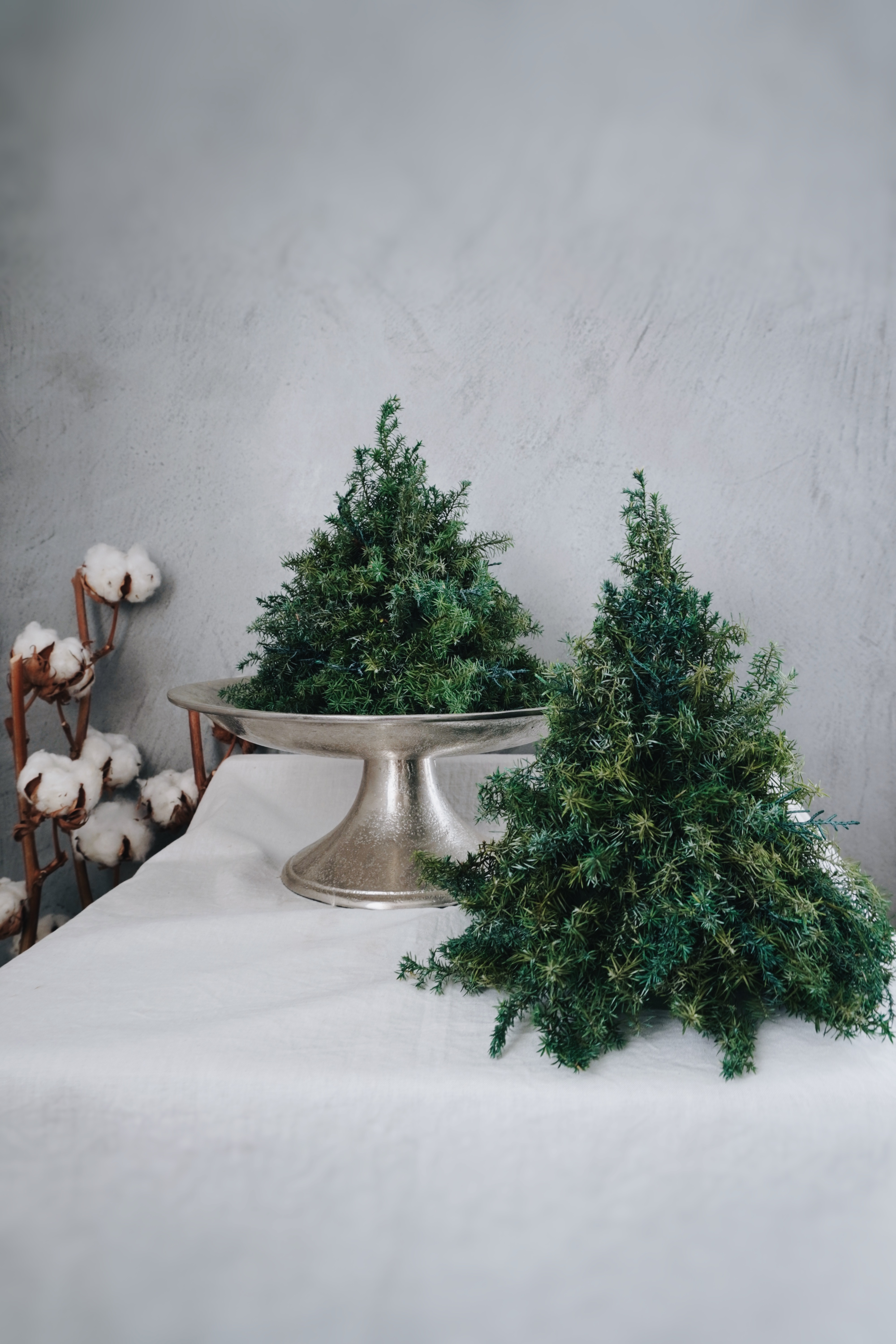 ちいさなNoël / クリスマスツリー