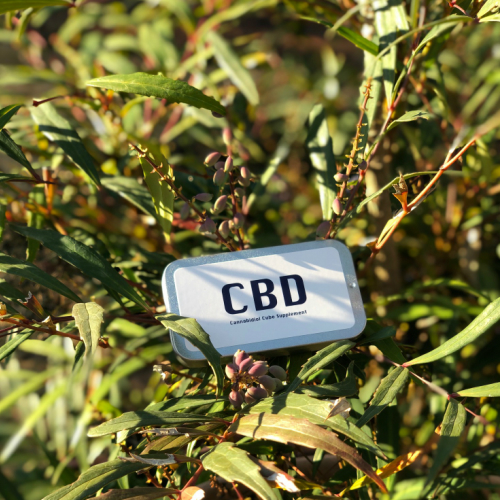 CBDってどれくらい採ったらいいの？？？