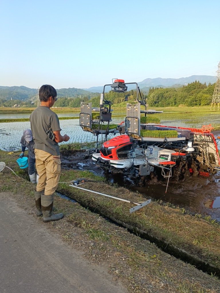 無人田植え機、無事稼働中