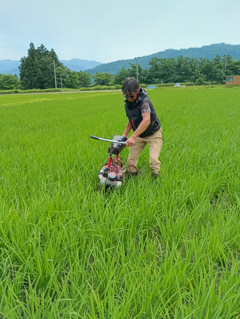 2026年5月27日　ぬかるみに負けず