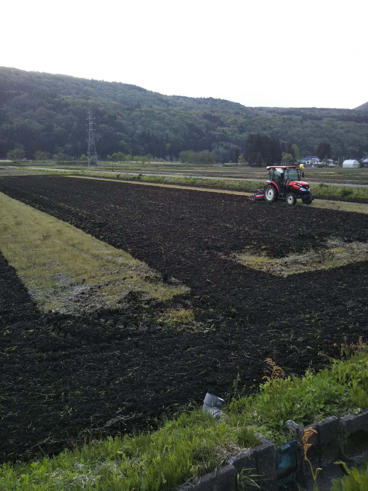 田起こししてます