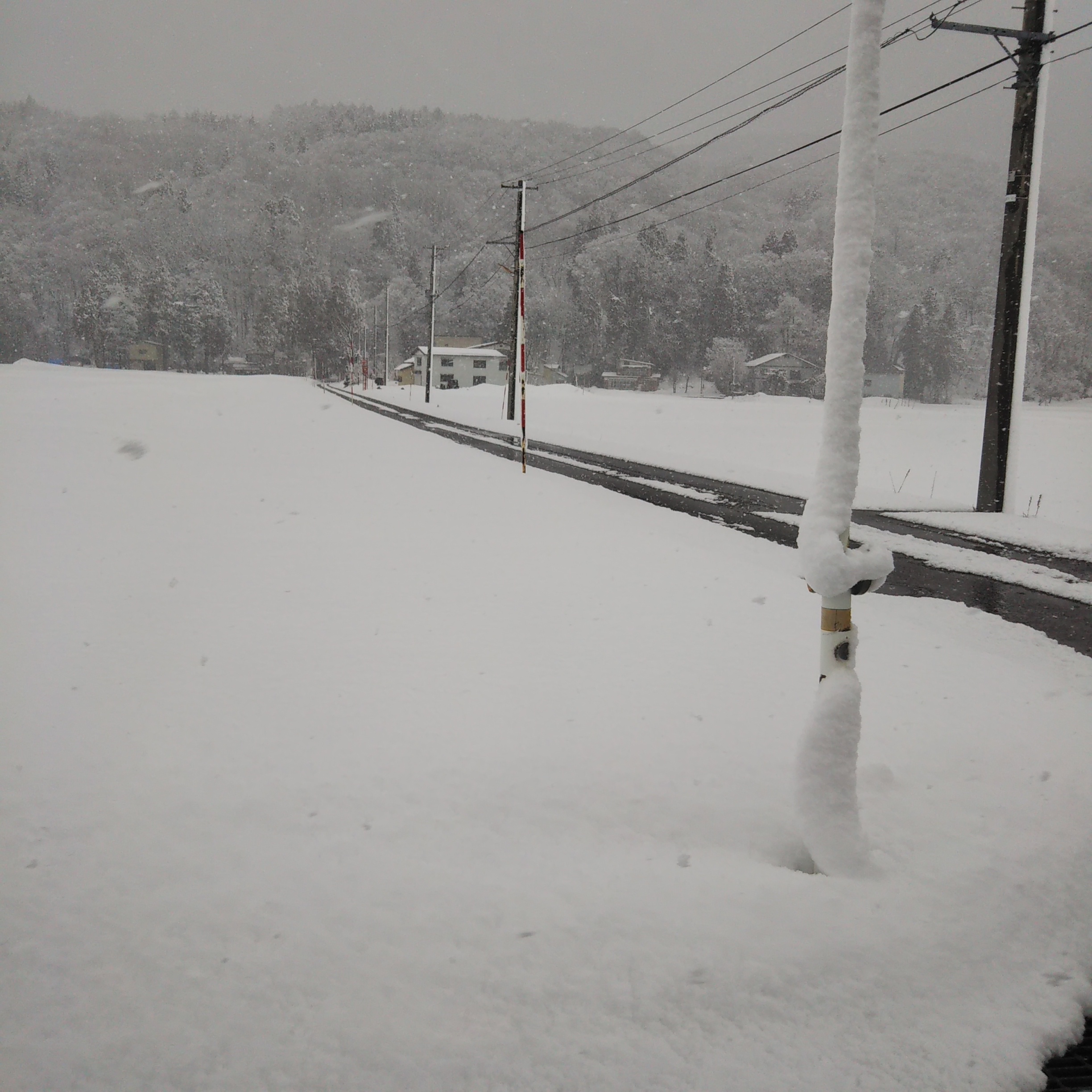今年の雪は少なめです