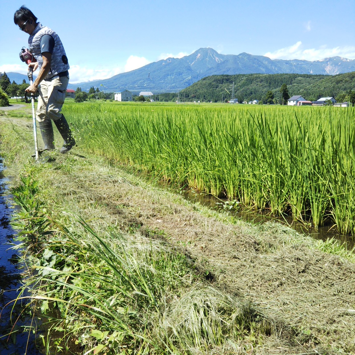 夏の妙高山とファンベスト