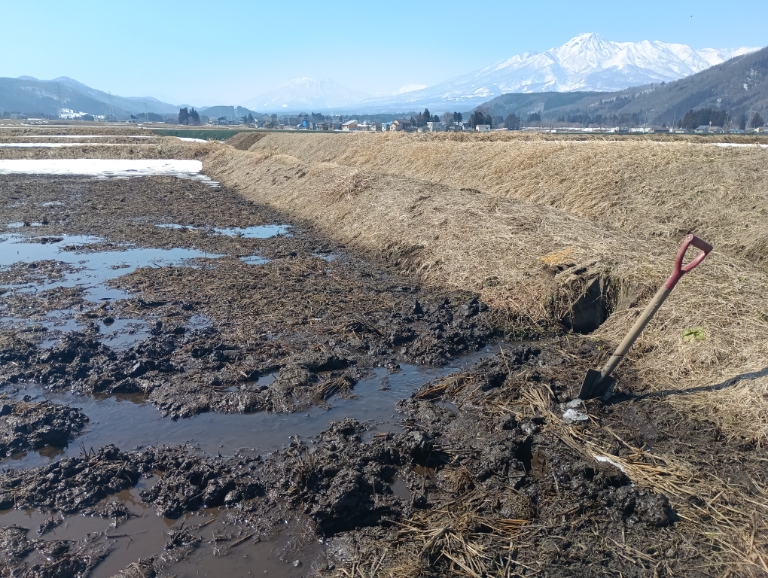 雪もだいぶ消えました