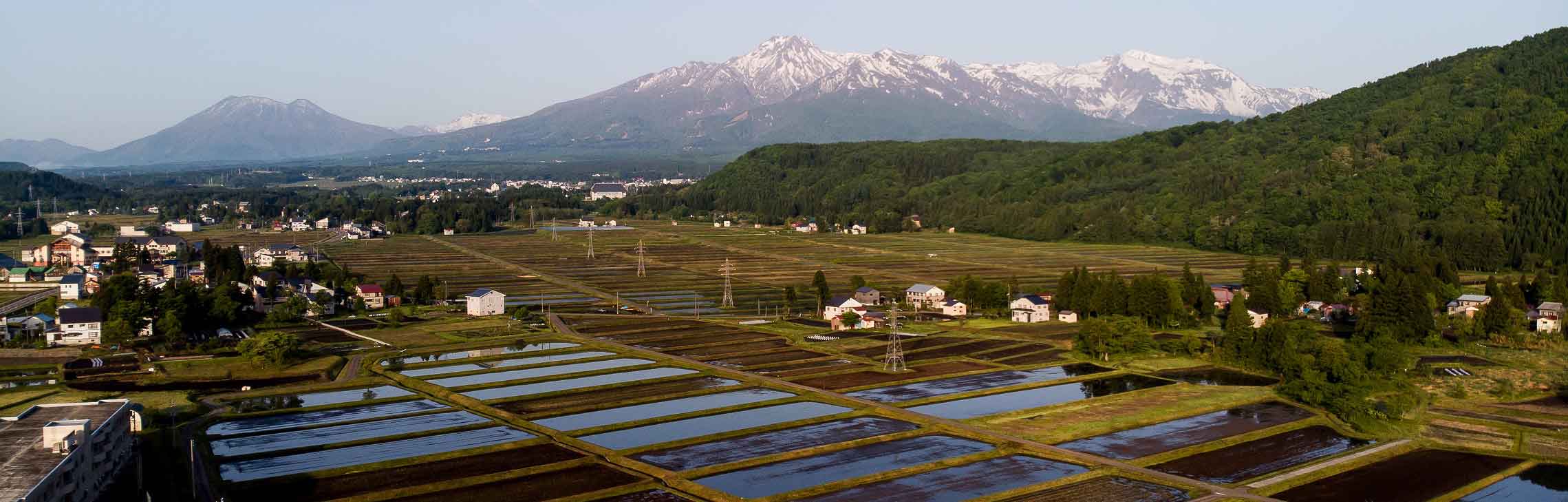山下農場のこと
