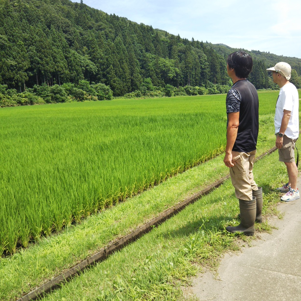 2024年7月21日の新之助の様子
