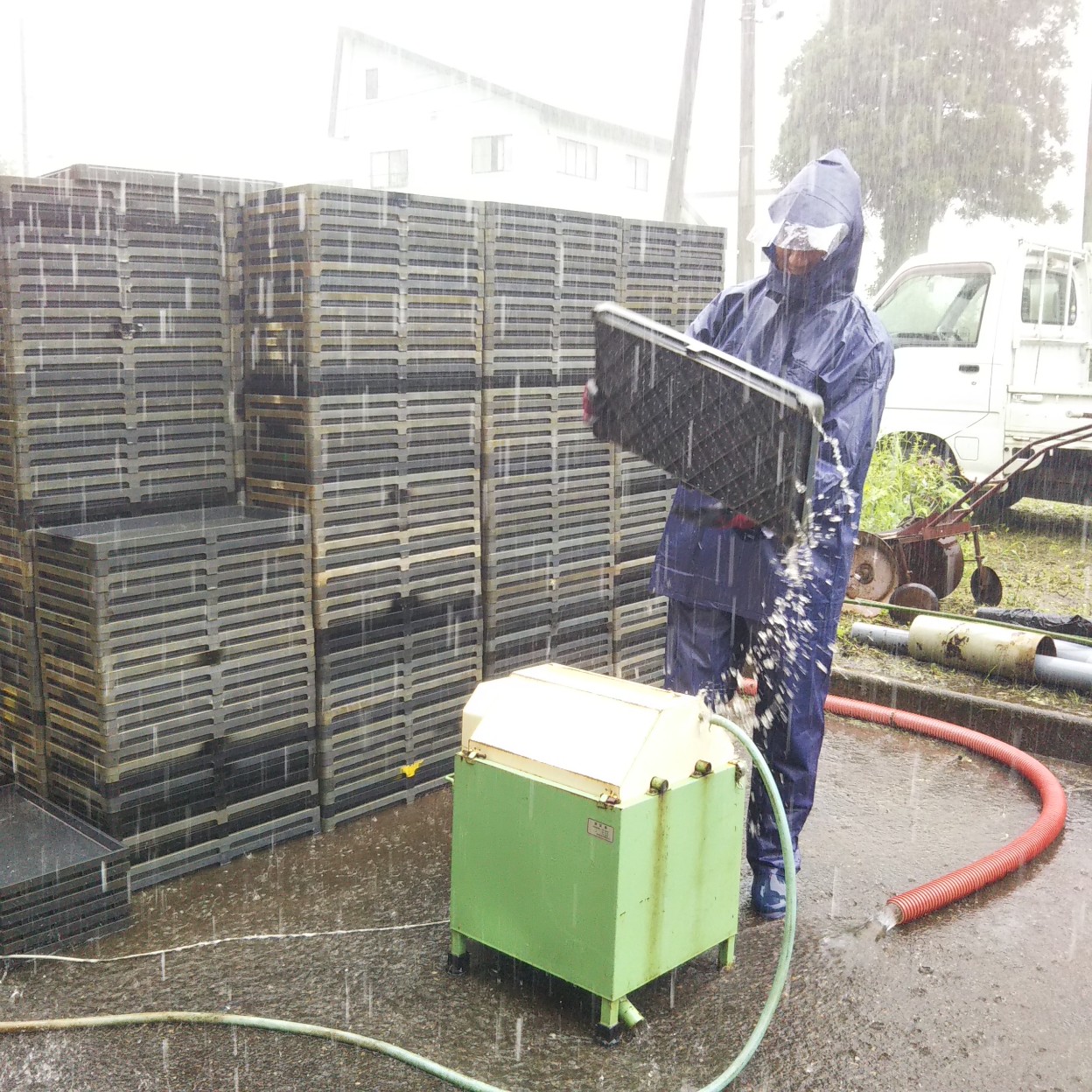 雨もしたたる…
