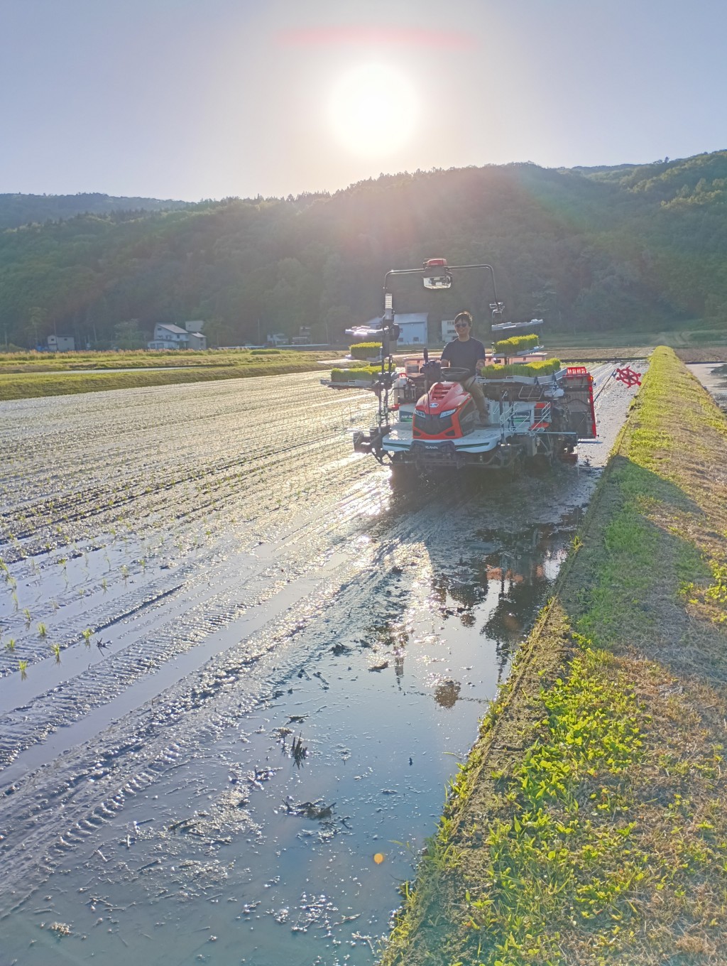 無人田植え機は初日からトラブル
