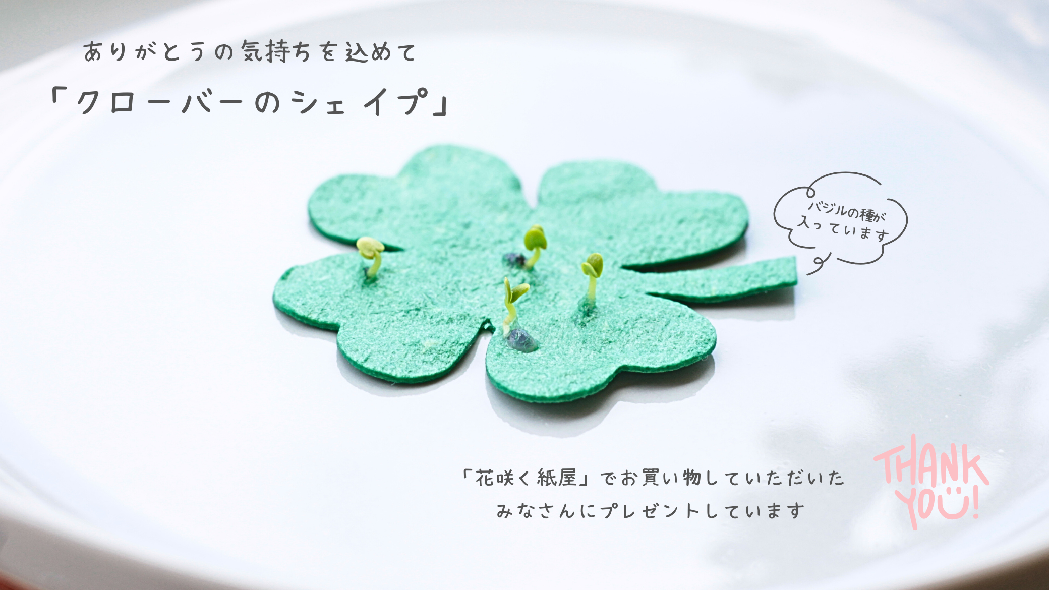 クローバーシェイププレゼント中!