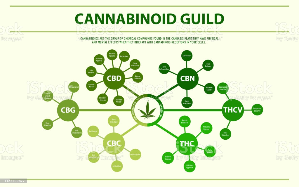 カンナビノイドとは