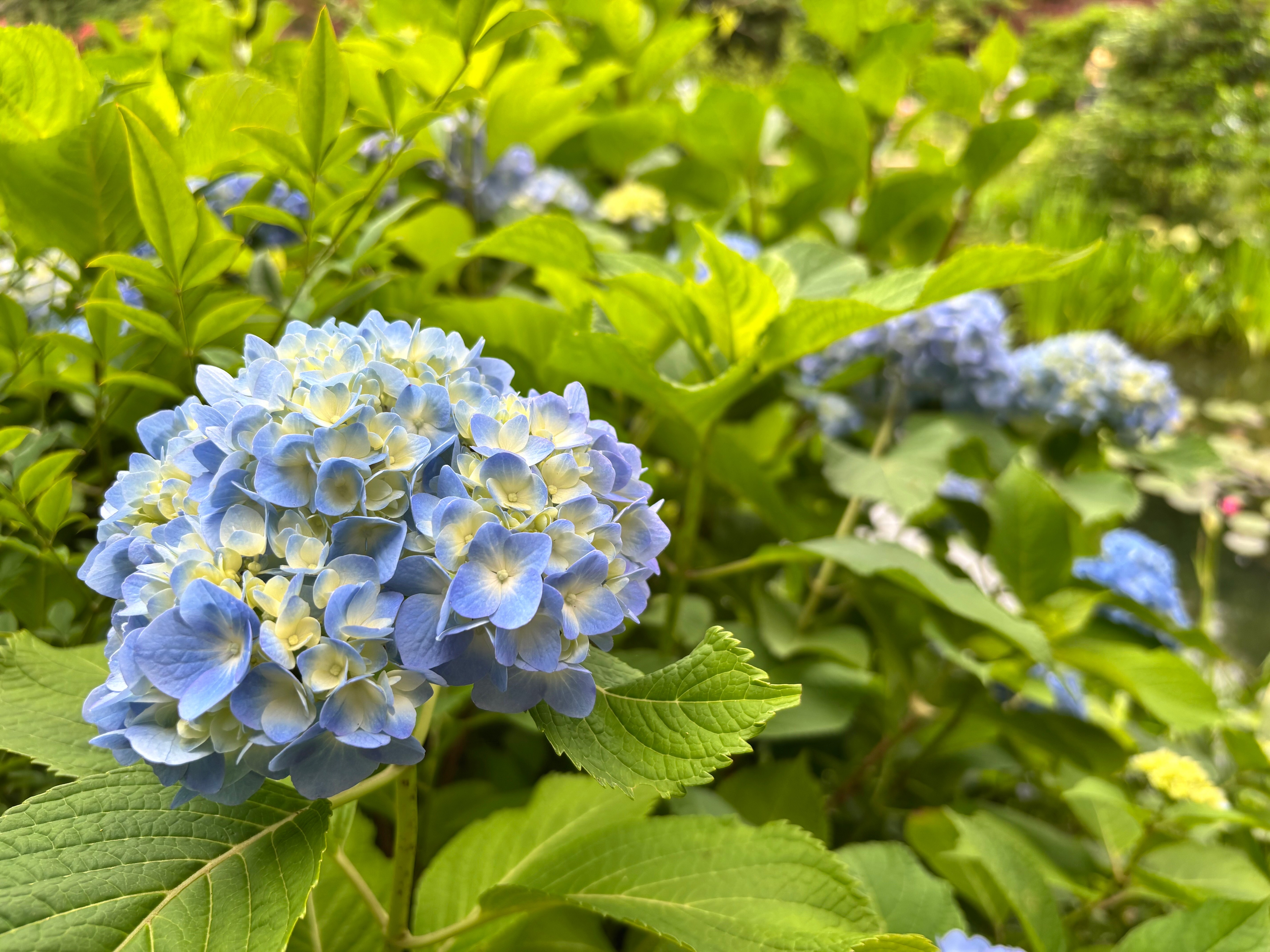 今シーズンもありがとうございました！