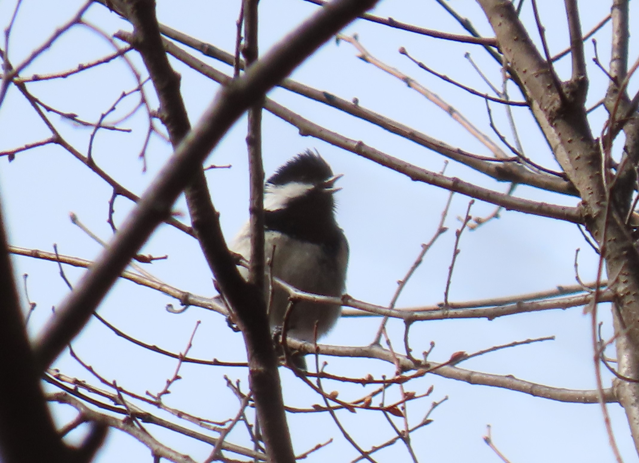 「菱野温泉」で野鳥とふれあい！