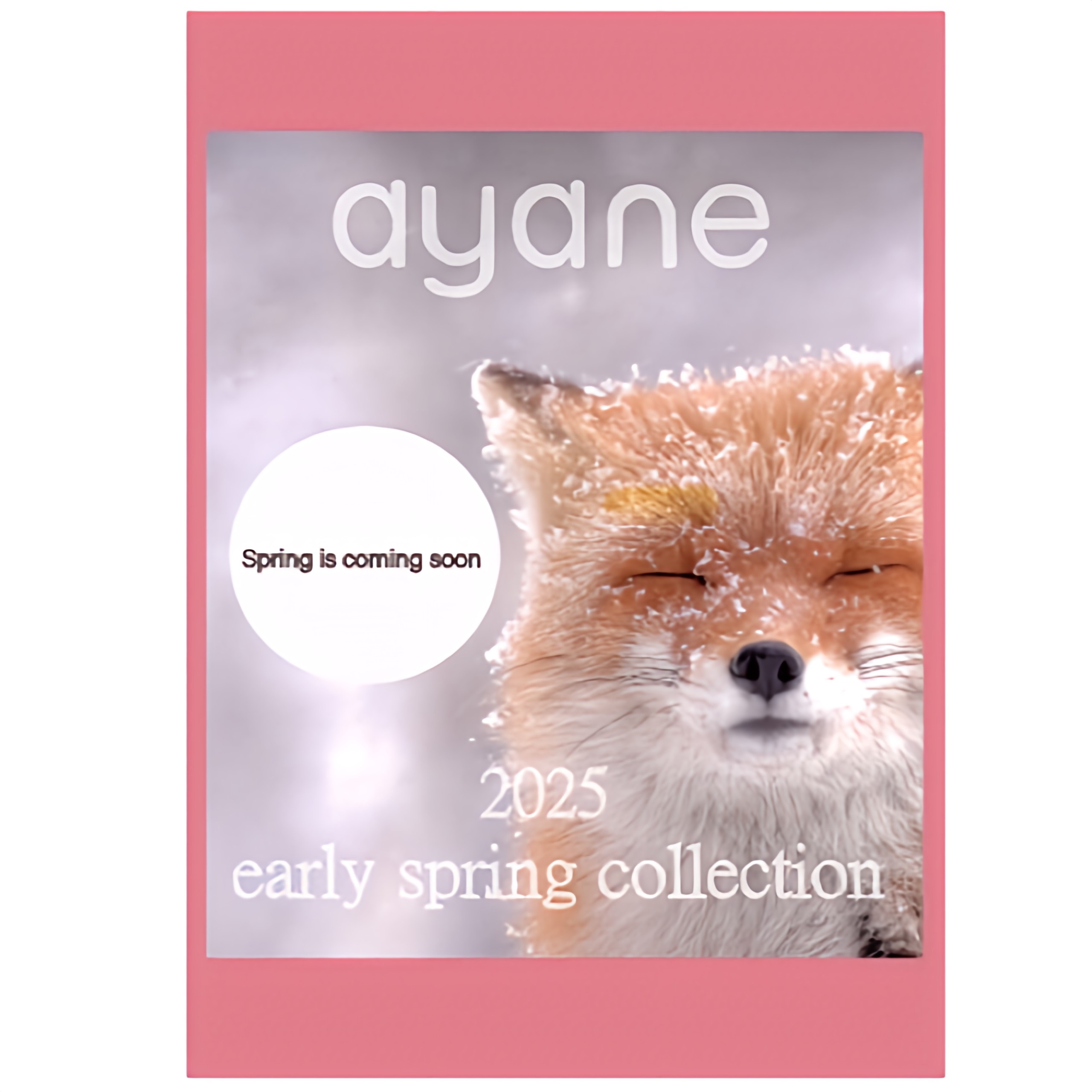 ayane 2025 EARLY SPRING COLLECTIONご予約受付中❤️