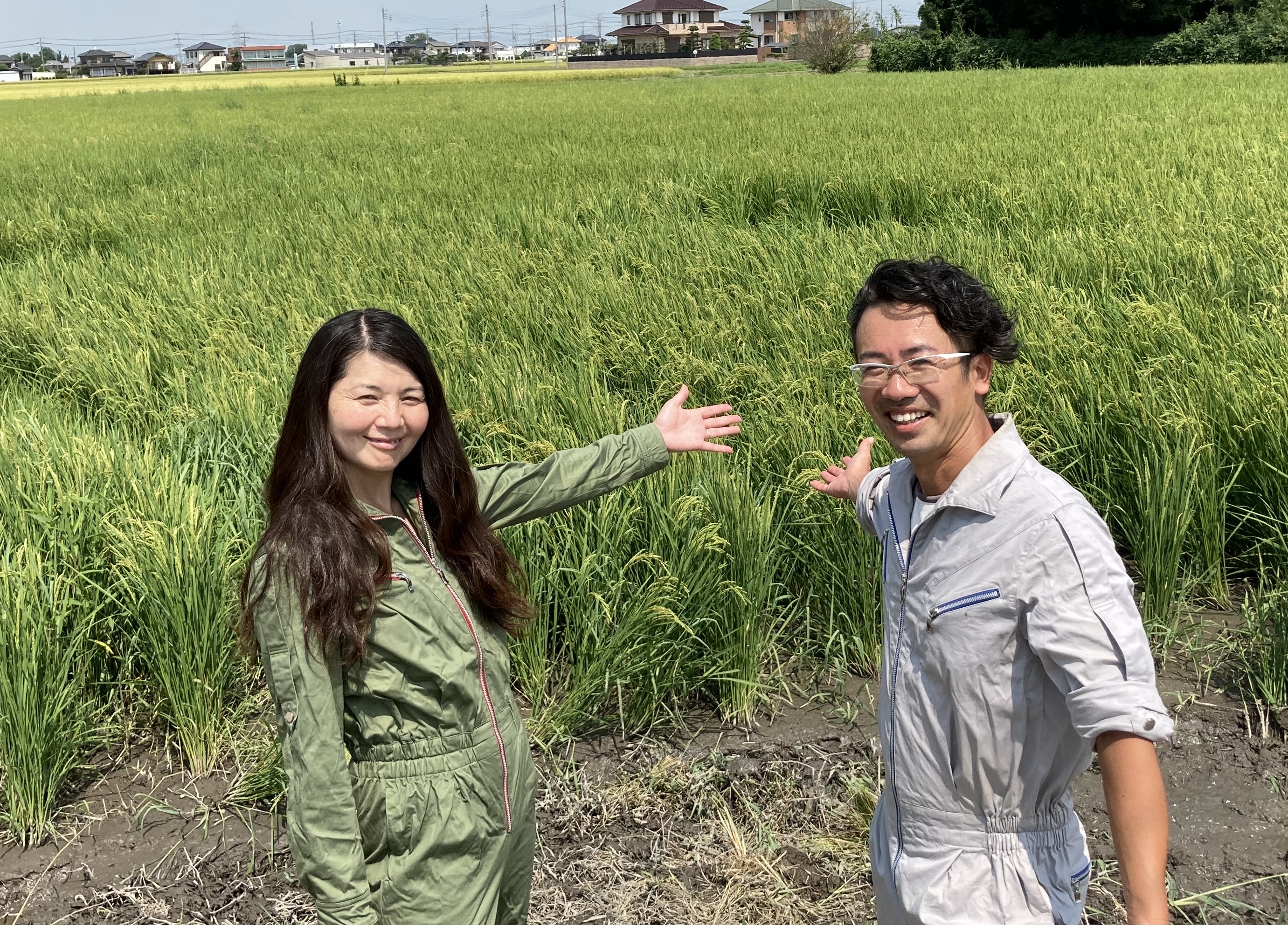 【埼玉／米】有機稲作の技術研究・120種の微生物群で発酵肥料作りを行う循環型農業を実践
