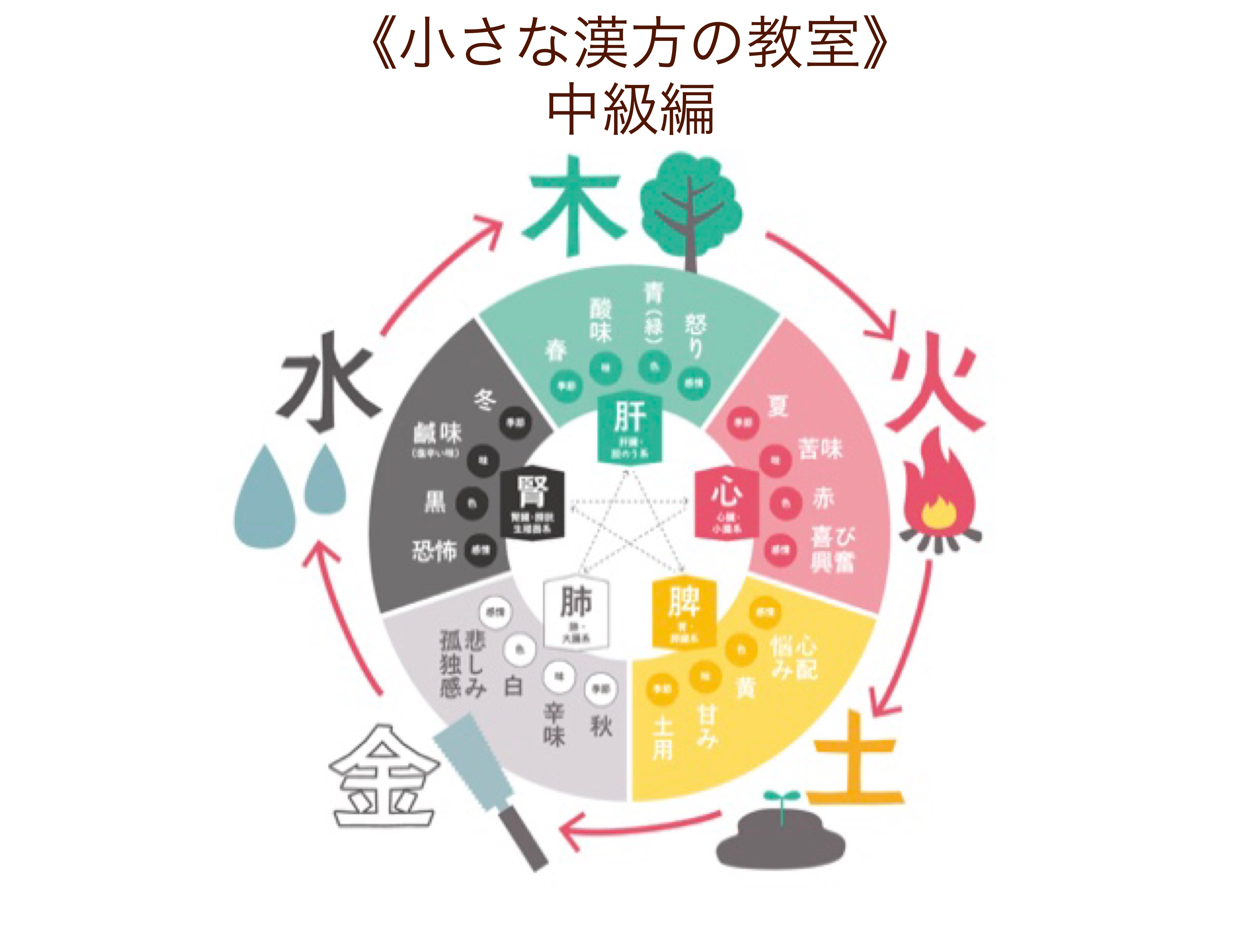 《小さな漢方の教室・中級編》9月始まり募集中