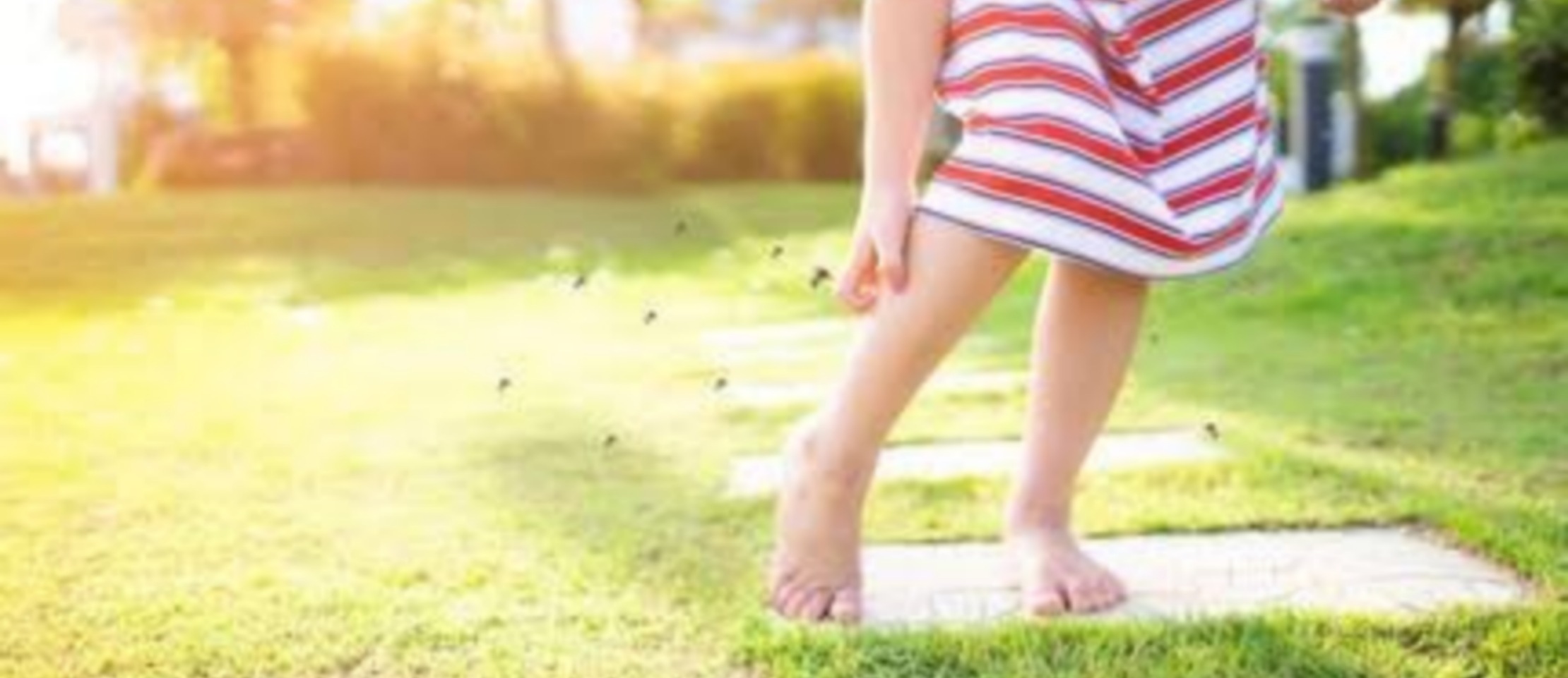 💡子供の虫刺され、軽く見てない❓