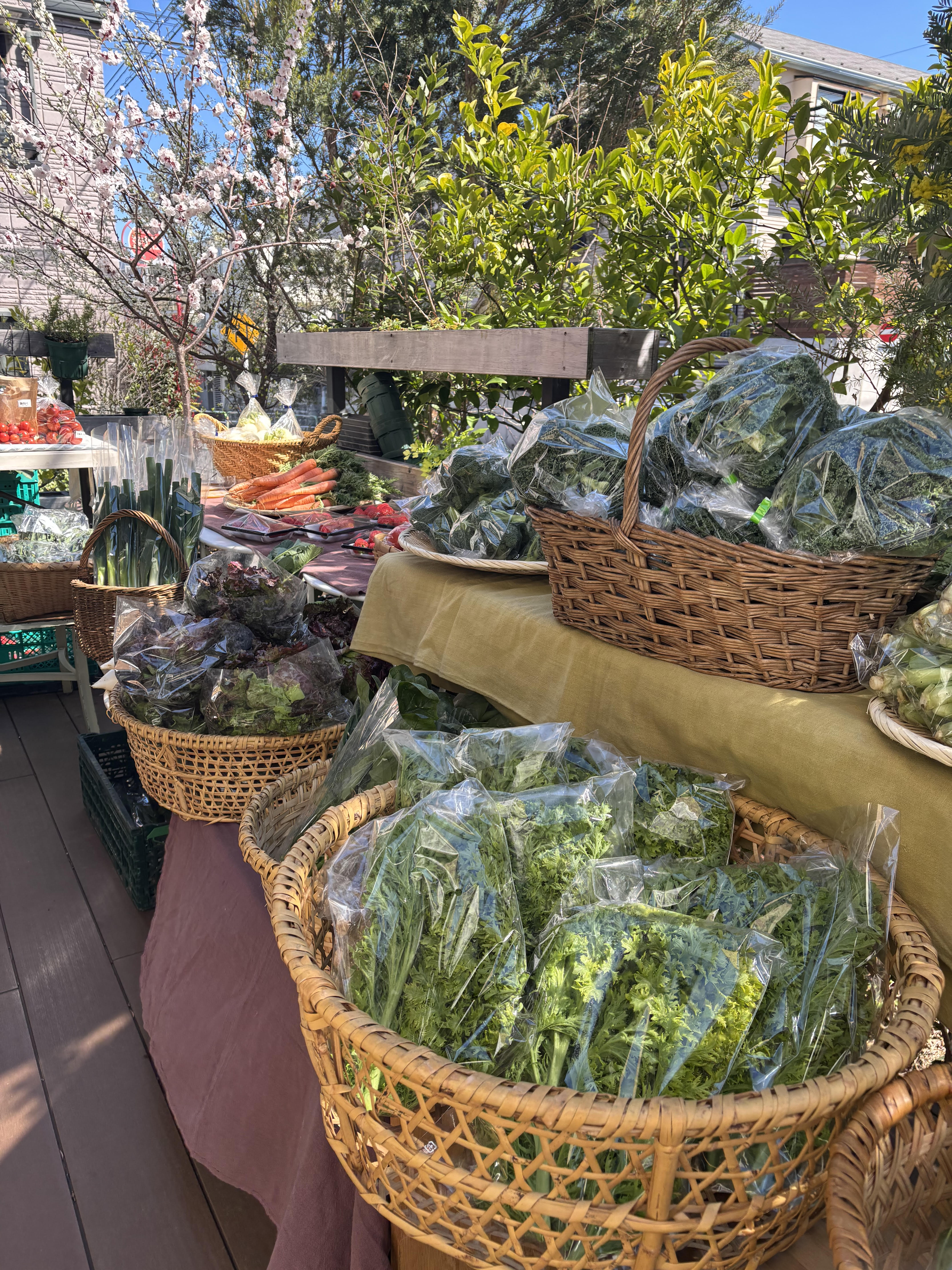 【東京】代官山蔦屋書店・A&CO POP