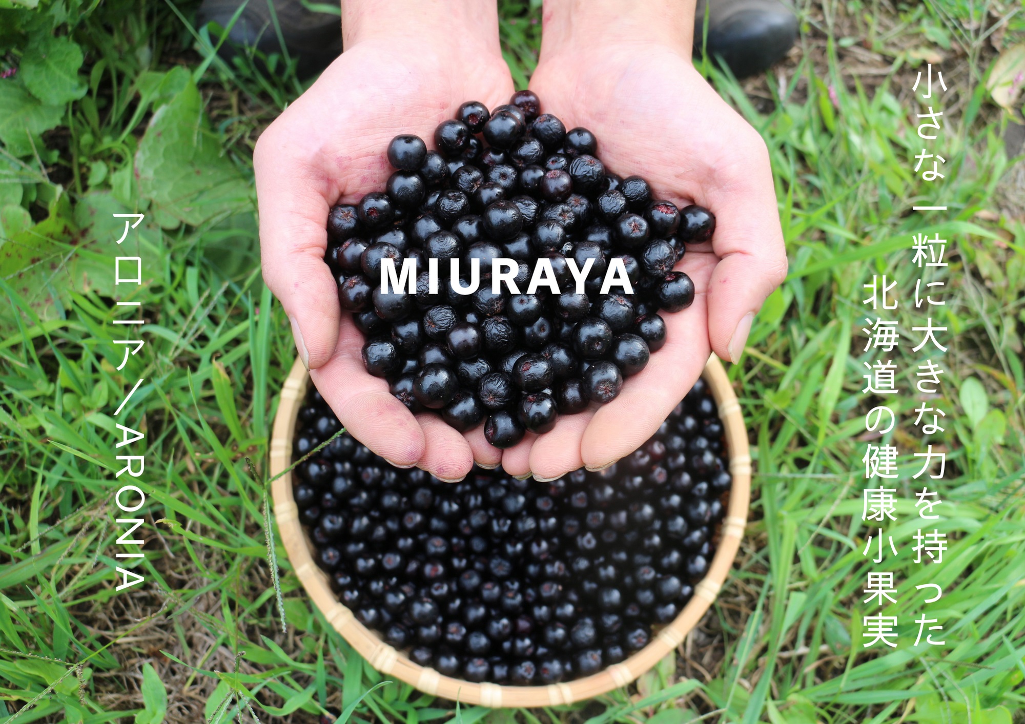 【東京】MIURAYA POPUP in代官山蔦屋書店