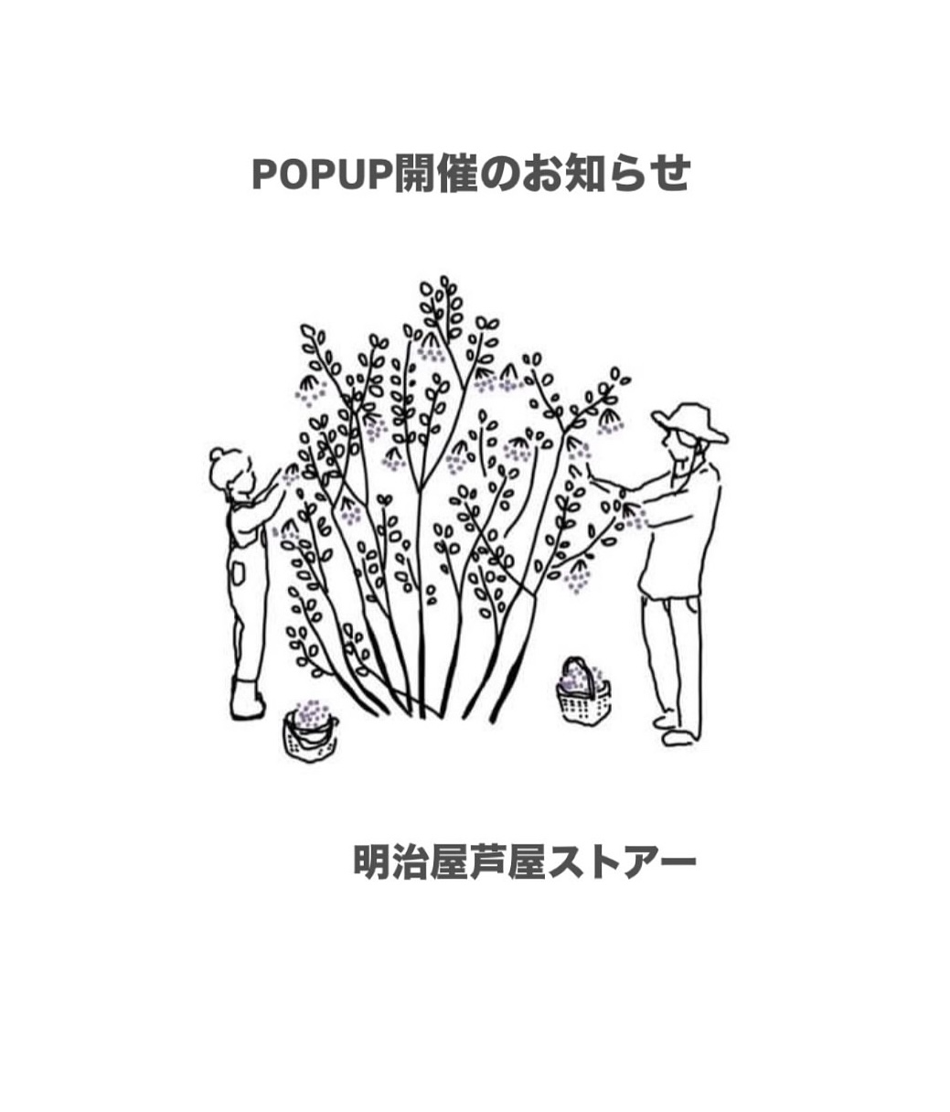 【兵庫】イベント情報　明治屋芦屋ストアーPOPUP