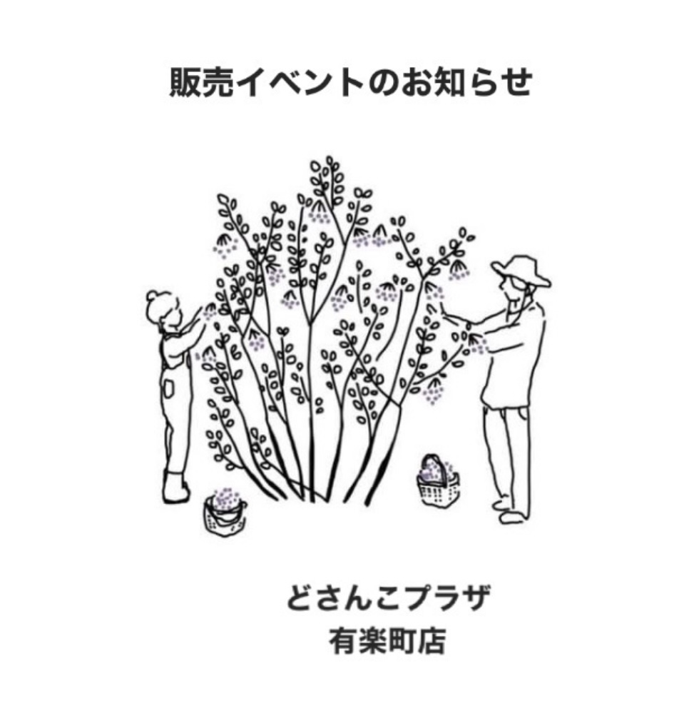 【東京】イベント情報　どさんこプラザ有楽町店