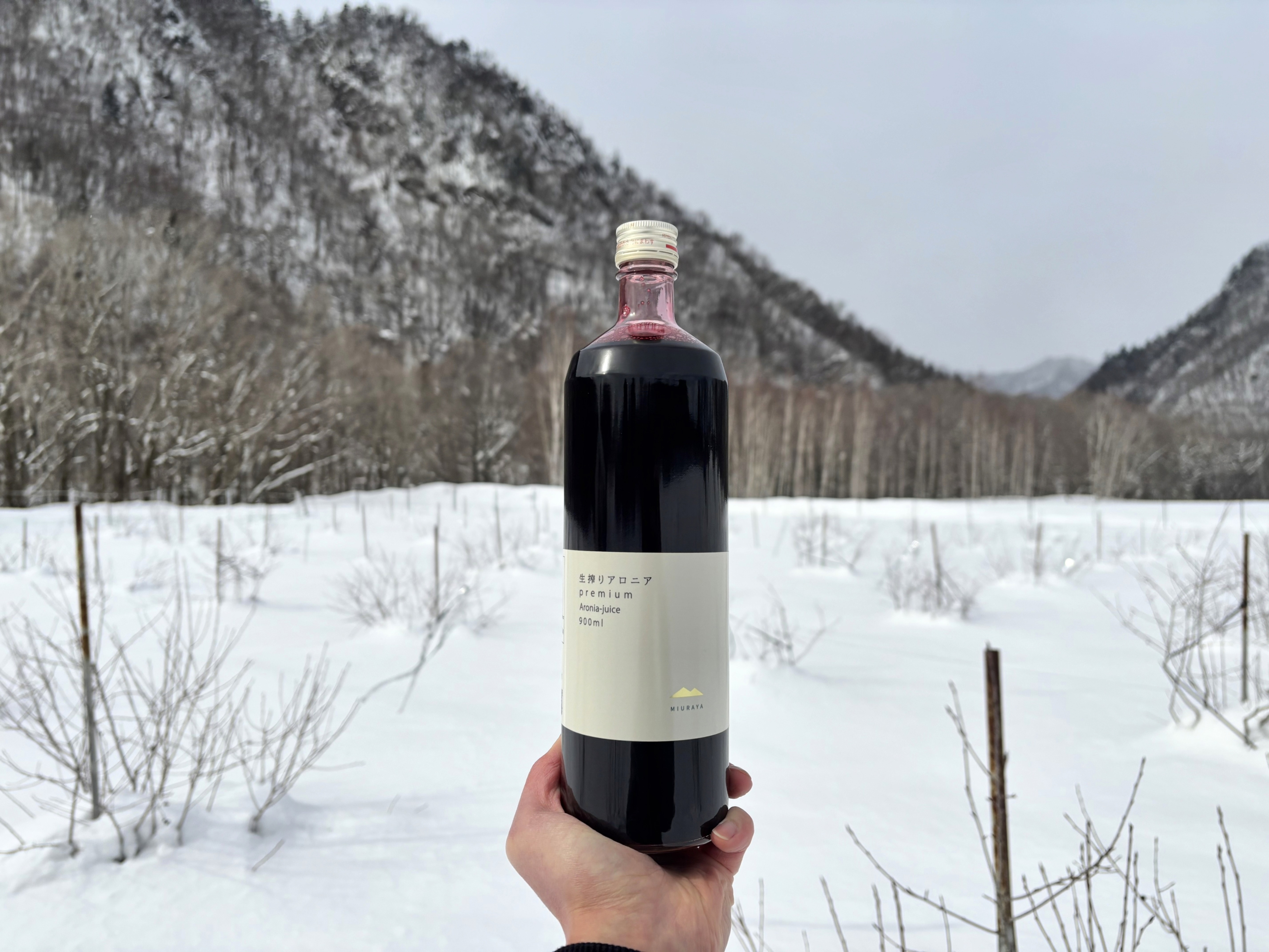 【2025年12月21日抽選開始】生搾りアロニアpremium2025抽選販売について