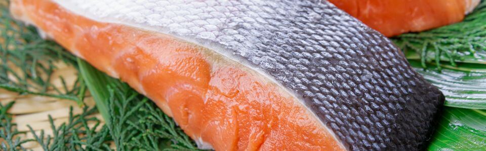 健康志向の食通必見!北海道の珍味「鮭とば」をお取り寄せで楽しむ贅沢時間
